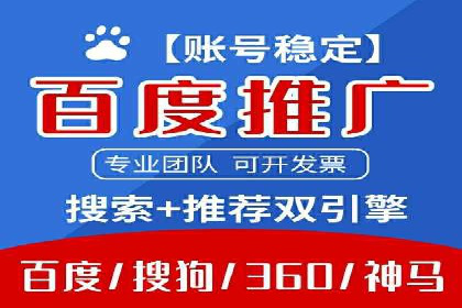 热门SEM运营公司案例深度剖析